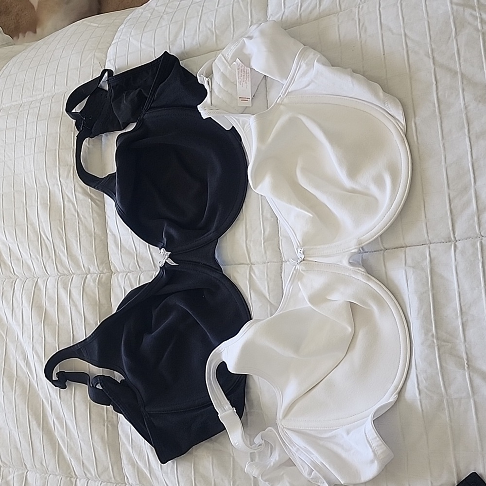 Cacique Bras